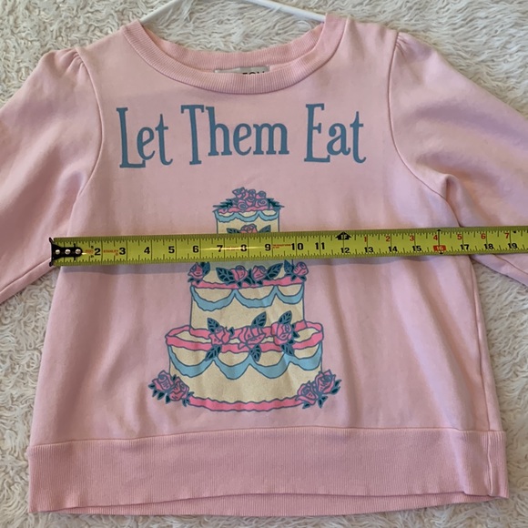 WILDFOX LET THEM EAT CAKE SWEATSHIRT - Picture 7 of 11